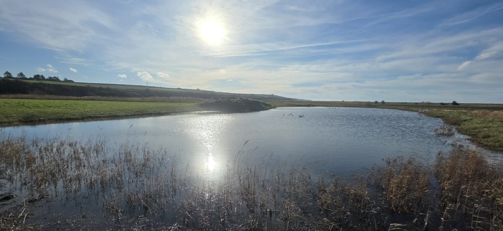 Hutte de chasse dans le Vimeu (Somme-80)
